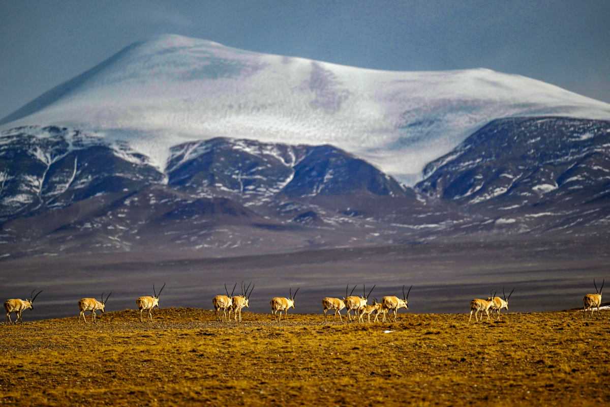 青海3日游攻略路线